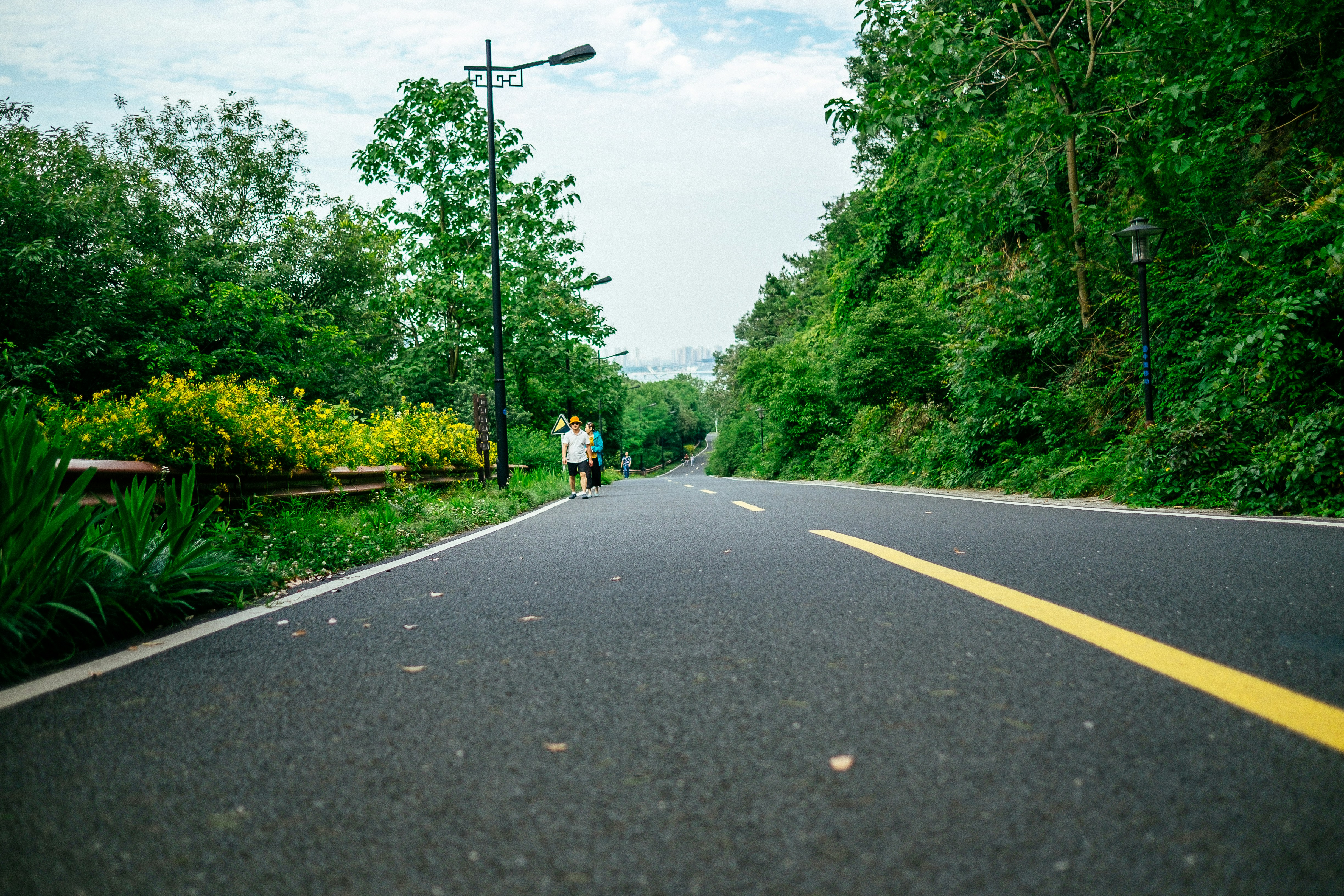 People walking along a tree-lined path in daylight.