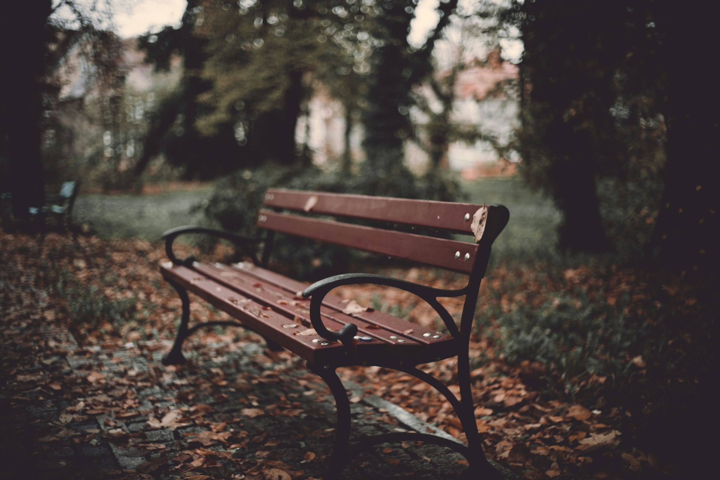A wooden bench on a woodland trail, a place to sit down partway through a walk.